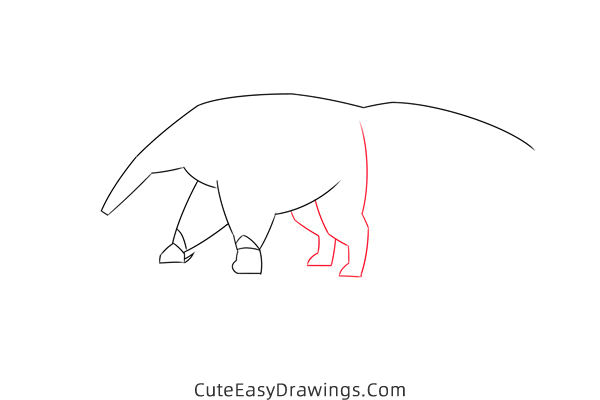 how to draw an anteater easy - www.cuteeasydrawings.com