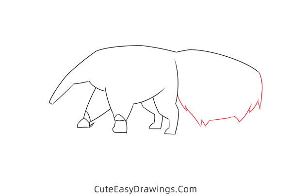 how to draw an anteater easy - www.cuteeasydrawings.com