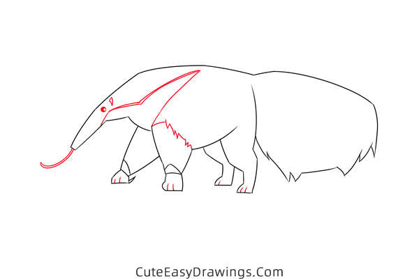 how to draw an anteater easy - www.cuteeasydrawings.com