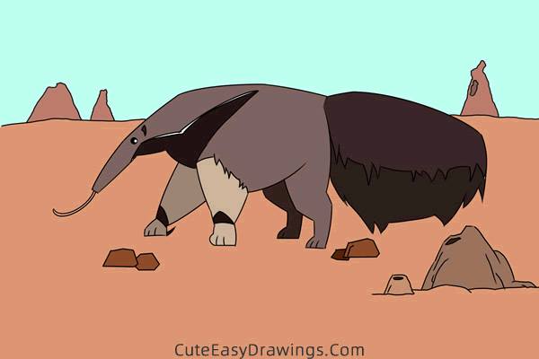 how to draw an anteater easy - www.cuteeasydrawings.com