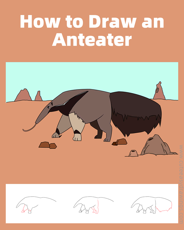 how to draw an anteater easy - www.cuteeasydrawings.com