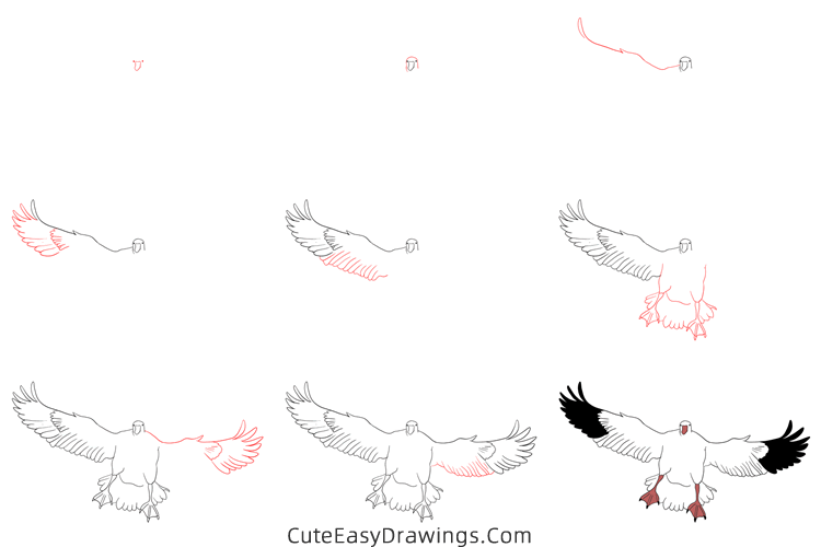 how to draw a snow goose - www.cuteeasydrawings.com