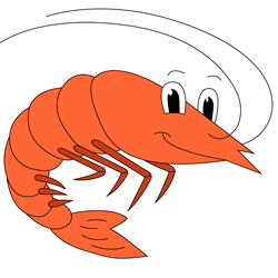 How to Draw a Cute Shrimp Step by Step