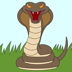 How to Draw a Cobra Step by Step