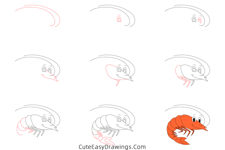 how to draw a cute shrimp - www.cuteeasydrawings.com