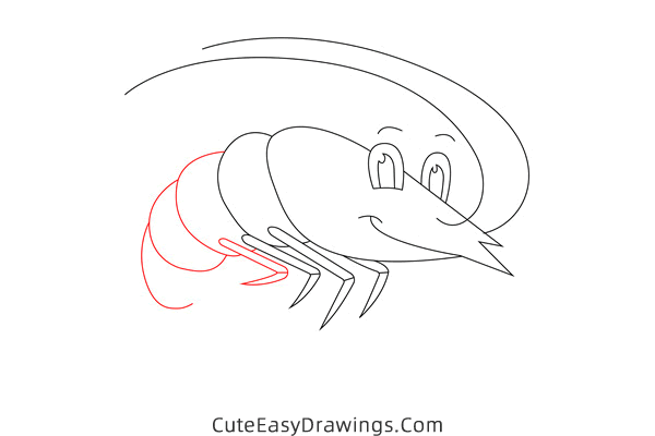 how to draw a cute shrimp - www.cuteeasydrawings.com