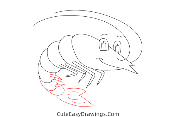 how to draw a cute shrimp - www.cuteeasydrawings.com