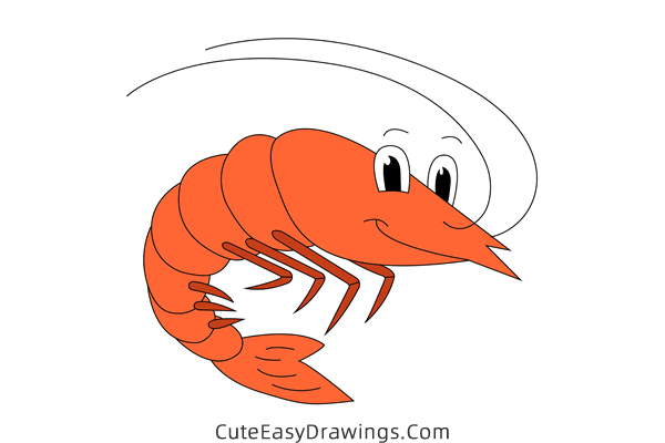 how to draw a cute shrimp - www.cuteeasydrawings.com