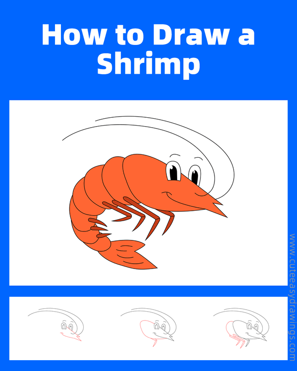 how to draw a cute shrimp - www.cuteeasydrawings.com