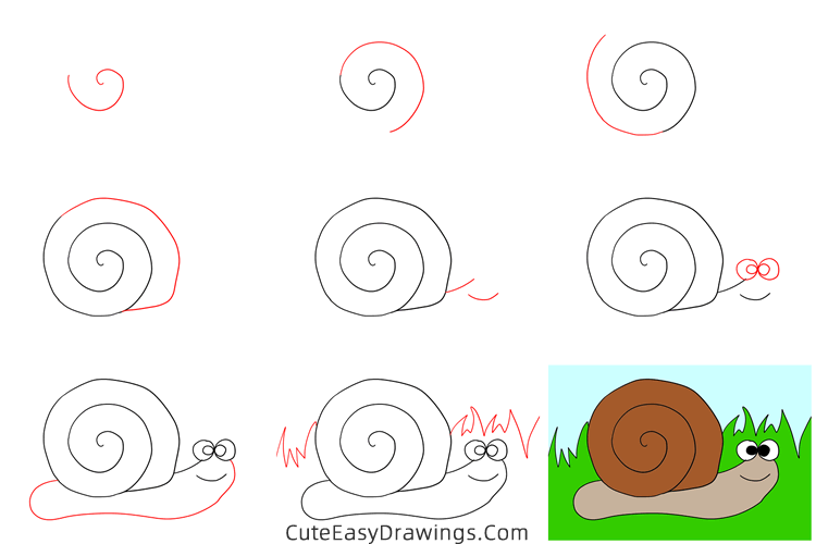 how to draw a snail easy - www.cuteeasydrawings.com