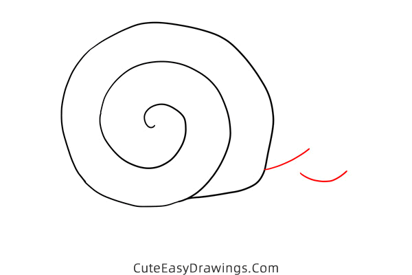 how to draw a snail easy - www.cuteeasydrawings.com