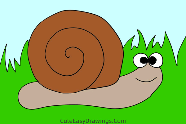 how to draw a snail easy - www.cuteeasydrawings.com