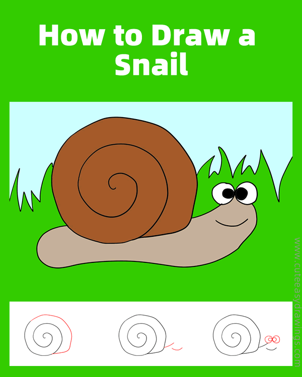 how to draw a snail easy - www.cuteeasydrawings.com