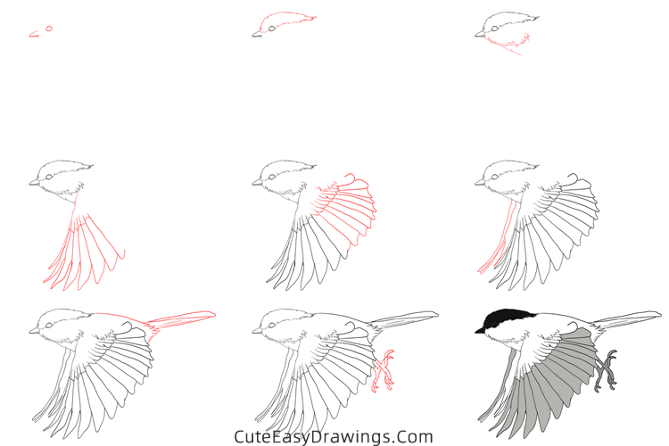 how to draw a sparrow flying - www.cuteeasydrawings.com