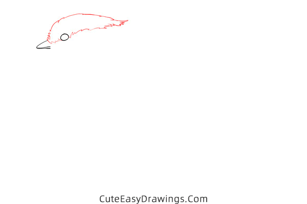 how to draw a sparrow flying - www.cuteeasydrawings.com