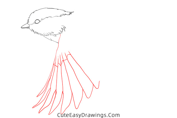 how to draw a sparrow flying - www.cuteeasydrawings.com