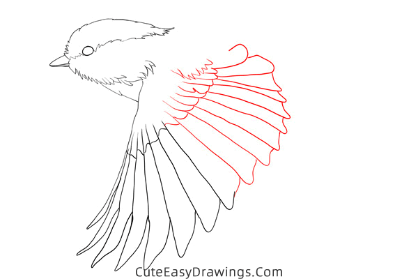 how to draw a sparrow flying - www.cuteeasydrawings.com