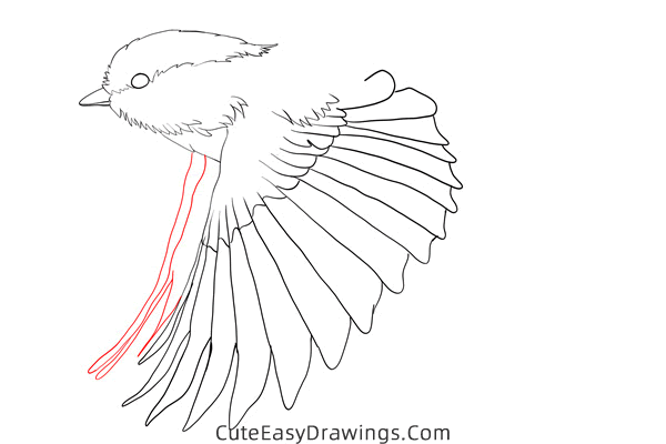 how to draw a sparrow flying - www.cuteeasydrawings.com