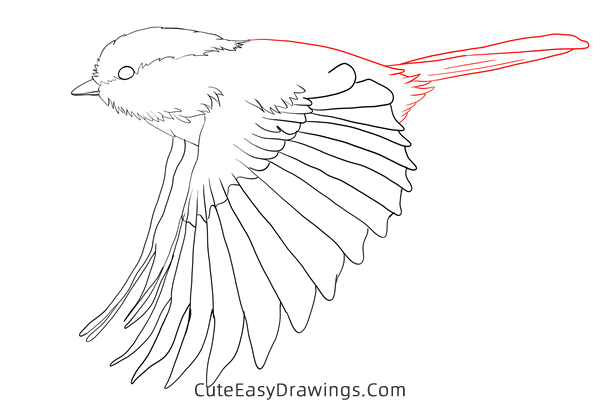 how to draw a sparrow flying - www.cuteeasydrawings.com