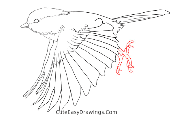 how to draw a sparrow flying - www.cuteeasydrawings.com