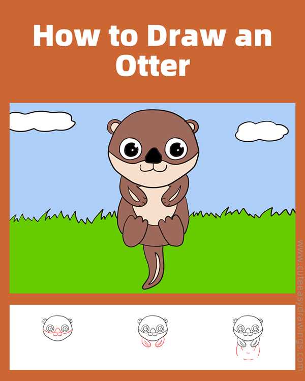 how to draw an otter - www.cuteeasydrawings.com