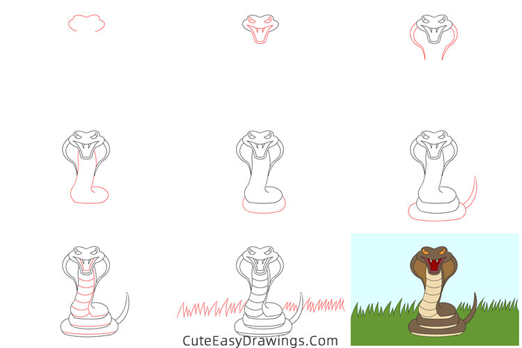 how to draw a cobra - www.cuteeasydrawings.com