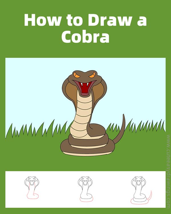 how to draw a cobra - www.cuteeasydrawings.com