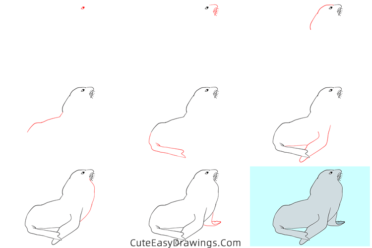how to draw a realistic seal - www.cuteeasydrawings.com