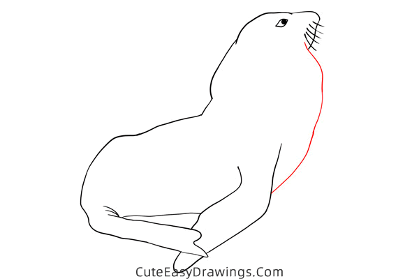 how to draw a realistic seal - www.cuteeasydrawings.com
