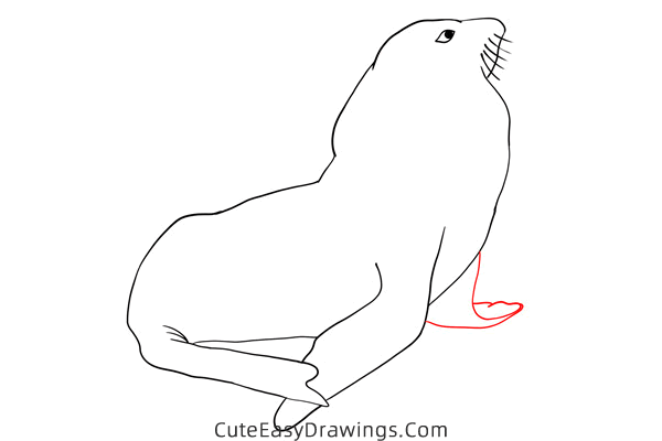 how to draw a realistic seal - www.cuteeasydrawings.com