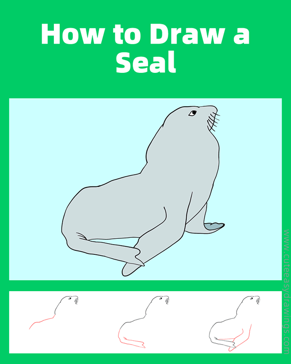 how to draw a realistic seal - www.cuteeasydrawings.com