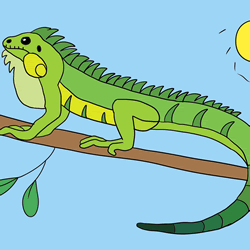 How to Draw a Lizard Easy Step by Step