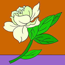 How to Draw a Gardenia Step by Step