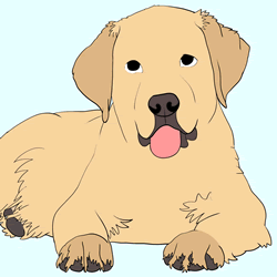 How to Draw a Realistic Golden Retriever Step by Step
