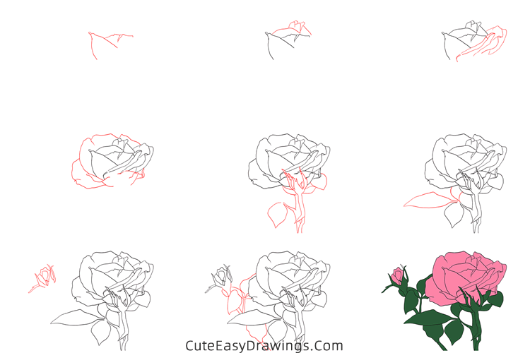 how to draw a realistic rose flower - www.cuteeasydrawings.com