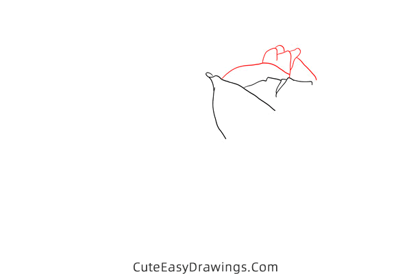 how to draw a realistic rose flower - www.cuteeasydrawings.com