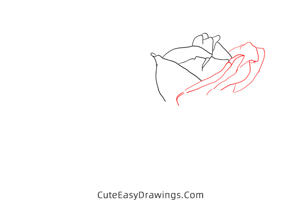 how to draw a realistic rose flower - www.cuteeasydrawings.com