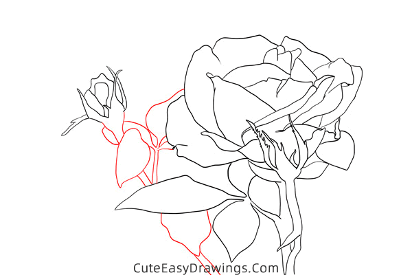 how to draw a realistic rose flower - www.cuteeasydrawings.com