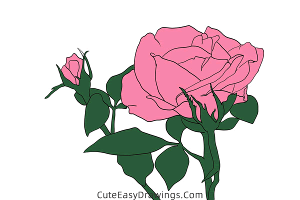 how to draw a realistic rose flower - www.cuteeasydrawings.com