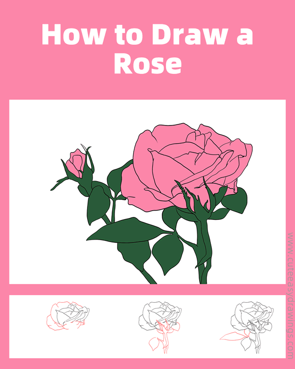 how to draw a realistic rose flower - www.cuteeasydrawings.com