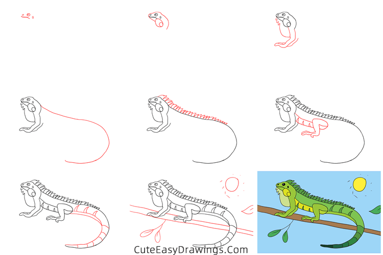 how to draw a lizard easy - www.cuteeasydrawings.com