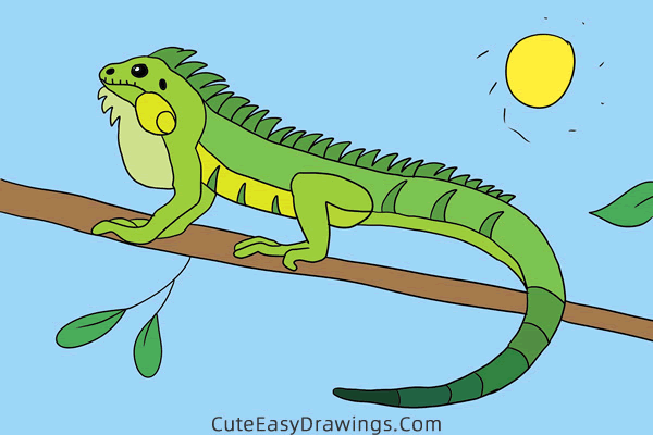 how to draw a lizard easy - www.cuteeasydrawings.com