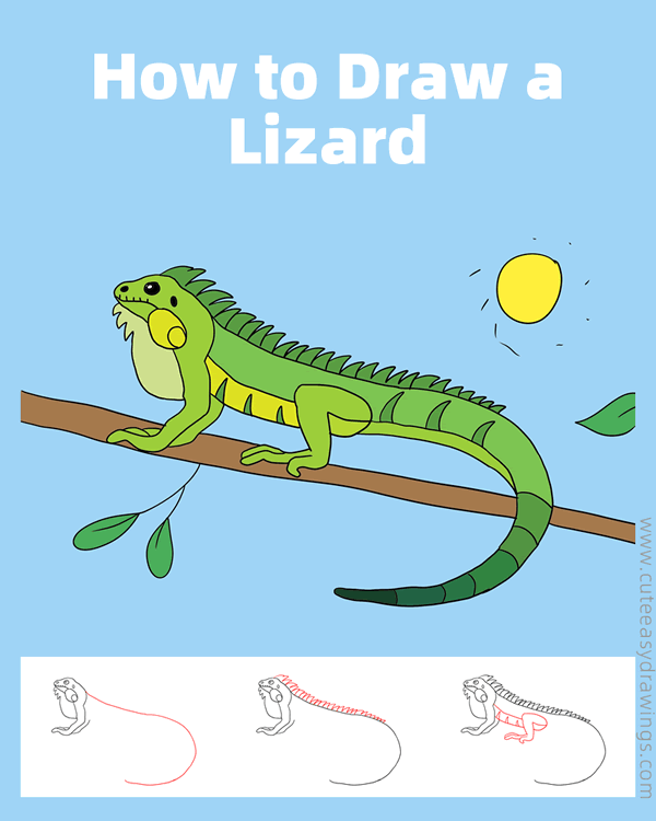 how to draw a lizard easy - www.cuteeasydrawings.com
