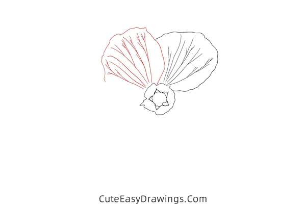 how to draw a realistic flower - www.cuteeasydrawings.com