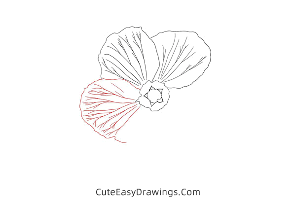 how to draw a realistic flower - www.cuteeasydrawings.com
