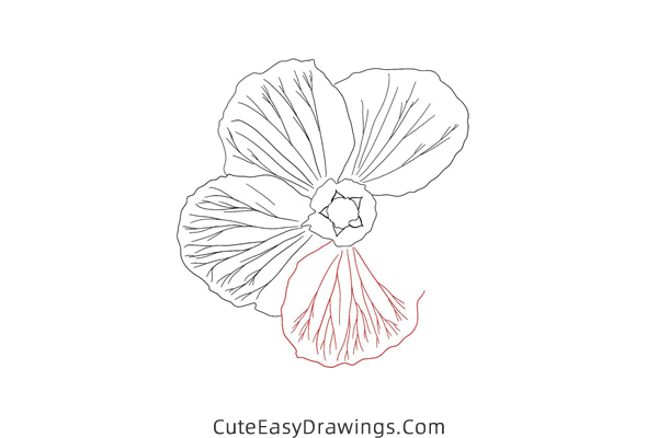 how to draw a realistic flower - www.cuteeasydrawings.com