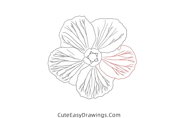 how to draw a realistic flower - www.cuteeasydrawings.com