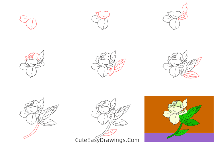 how to draw a gardenia - www.cuteeasydrawings.com