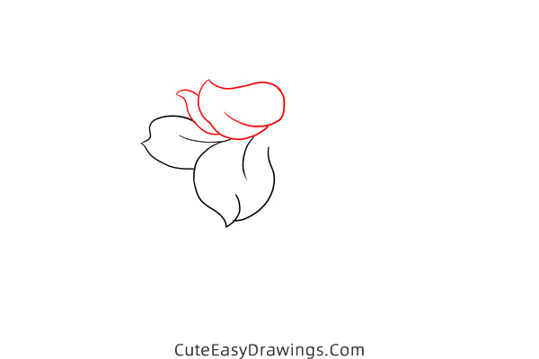 how to draw a gardenia - www.cuteeasydrawings.com