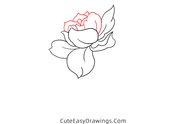 how to draw a gardenia - www.cuteeasydrawings.com